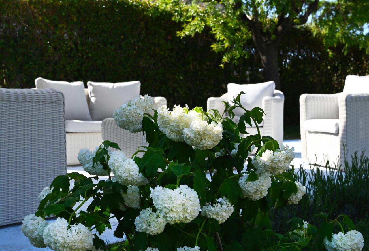 Bed and Breakfast Aura Relais Numana Esterno foto