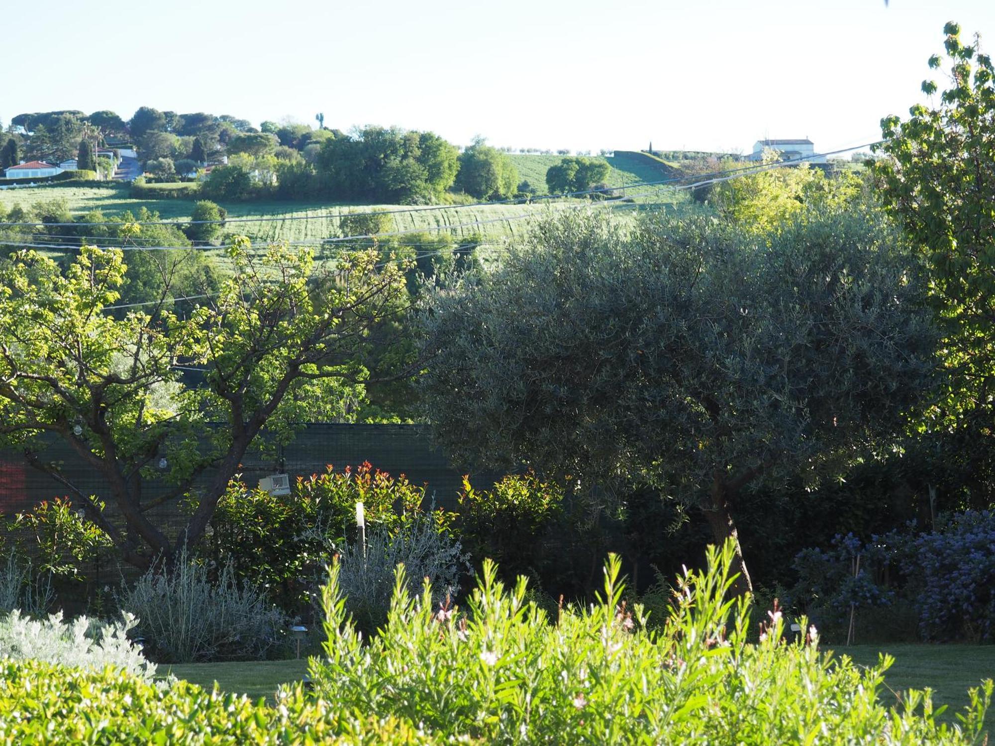 Bed and Breakfast Aura Relais Numana Esterno foto
