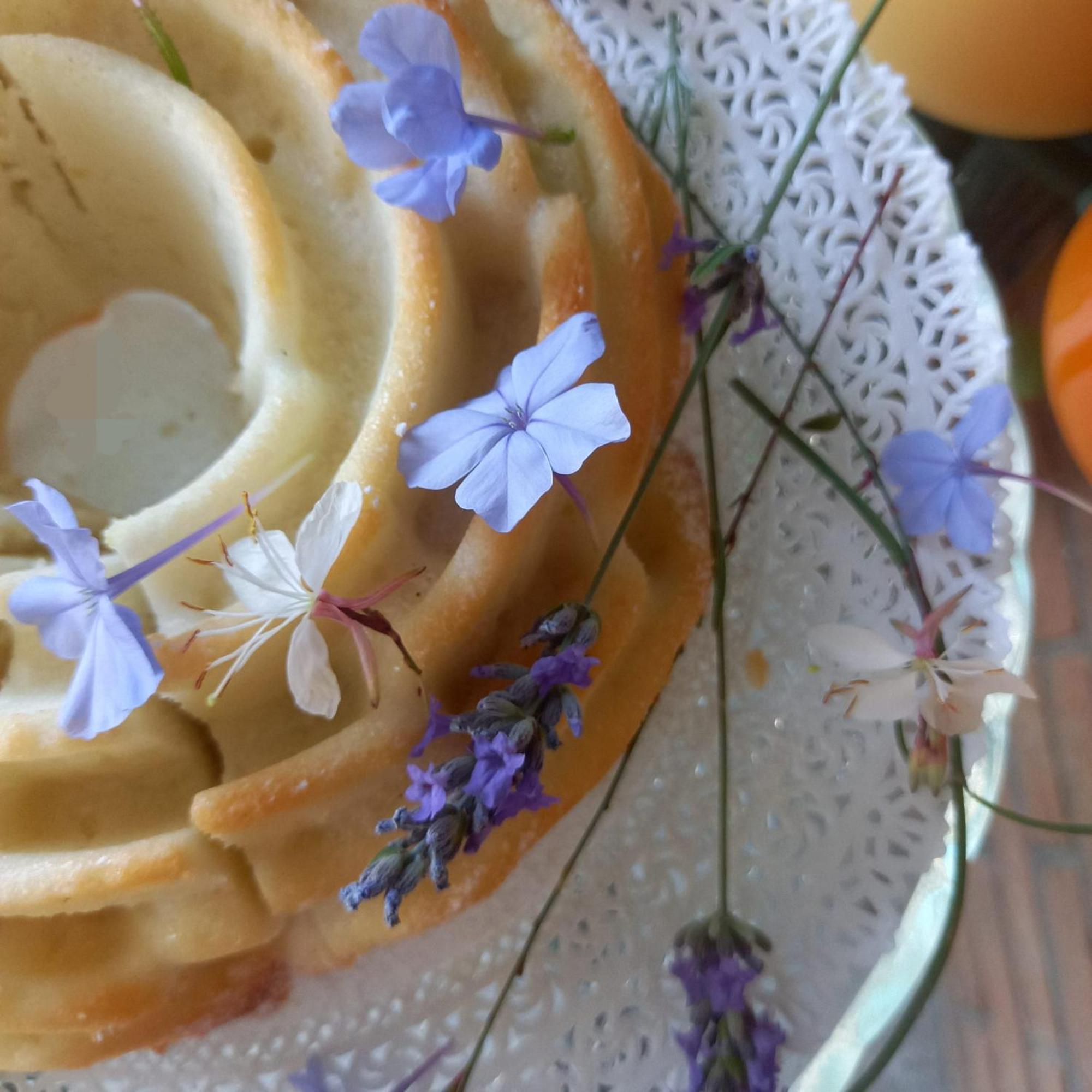 Bed and Breakfast Aura Relais Numana Esterno foto